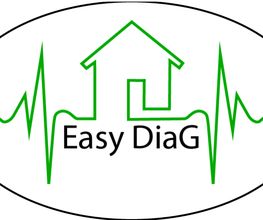Easydiag image 4