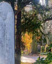 Naturstein Flemming Bild 7