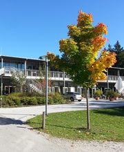 Logopädie Chiemgau Bild 1