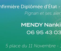 Mendy Nankindou image 1