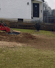 www.baumstumpf-raus.de Bild 4