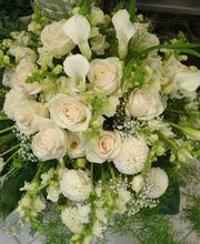 Blumengeschäft Efeulaube Bild 8