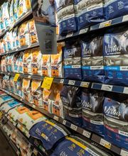 Arcaplanet immagine 4