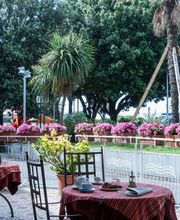 Gallery Professionale