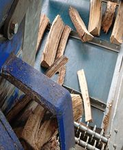 Taligot Jacky image 5