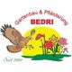 BEDRI GMBH