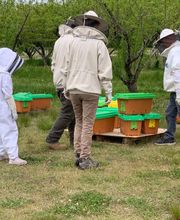 Ncvabeenucs.com image 6