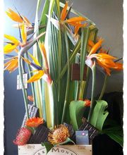 Pailhoux Fleurs image 3