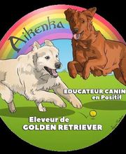 Aikenka Education Canine image 4