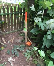 SELAS ERTZ Simon Géomètre-Expert image 13