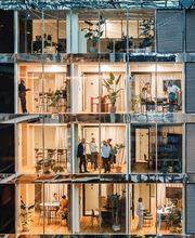 Pink Ibex GmbH Bild 9