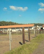 Reitsportzentrum Wendelstein Bild 4