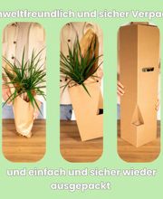 Umweltfreundlich_und_sicher_Verpackt-min.jpeg