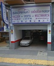 Autopremium Cebolla Motor imagen 6