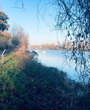 Agence immobilière Laforêt Le Vesinet image 11