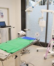 Tierarztpraxis am Rössliplatz AG Bild 5