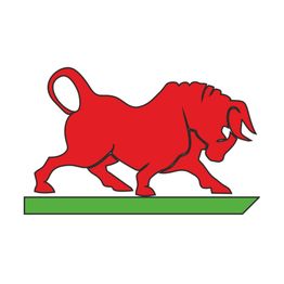 Stier24