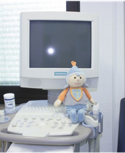 Steppberger Frank Bild 8