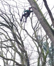 WhatsApp Bild 2023-12-16 um 22.56.48_6b26a501.jpg