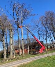 Forst- und Baumdienst Pels Bild 6