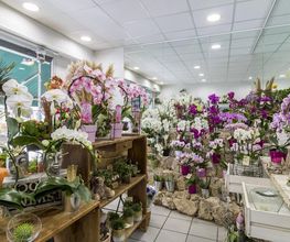 Fleur D' O image 6