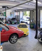 Gallery Cliente