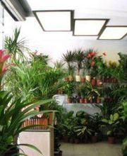 mis-flores-flores-04.jpg