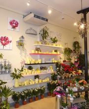 Eco-Logis 37 image 11