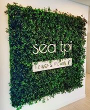 Paysage Nouvelle Génération Png SARL image 4