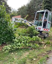 PEIXOTO PAYSAGES image 4