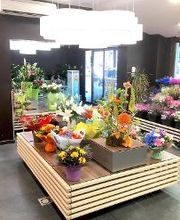 Carrément Fleurs - Fleuriste Eysines Bordeaux 33 - Livraison de fleurs à domicile image 4