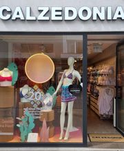Calzedonia Bild 1