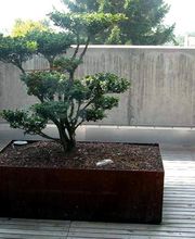 artenGarten GmbH Bild 10