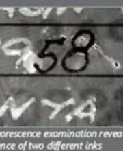 Andre Navarro image 3