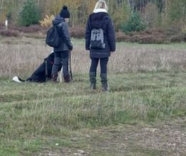 natural.dogs. Bild 10