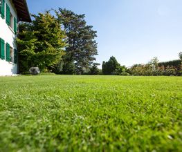 Brenner AG Gartenbau Bild 8
