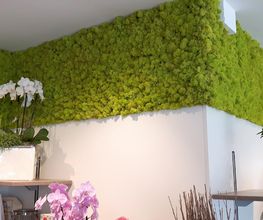 Franzen Moos Wanddesign Bild 6