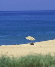 Orpi Agence Petit SARL image 11