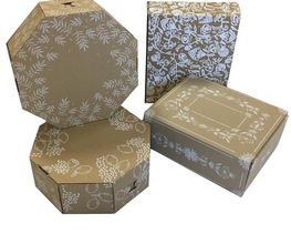 Saica Pack LAVAL image 7