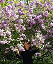 Rita Maaßen Psychotherapie und mehr Bild 2