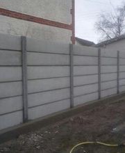 Société Moris image 12