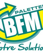 BFMP image 3