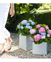 Gartenfachmarkt Richter Bild 2