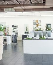 Amici Hair Design Bild 17