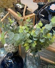 Malice Chateaulin image 13