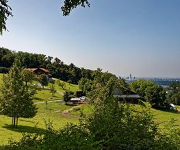 Ruedi Schneider Bild 1