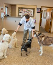 Westside Family Pet Clinic image 3
