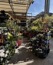 Bricorama Jardres image 14