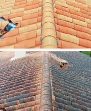 Zigler Johnny image 1