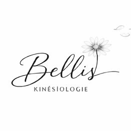 Bellis kinésiologie